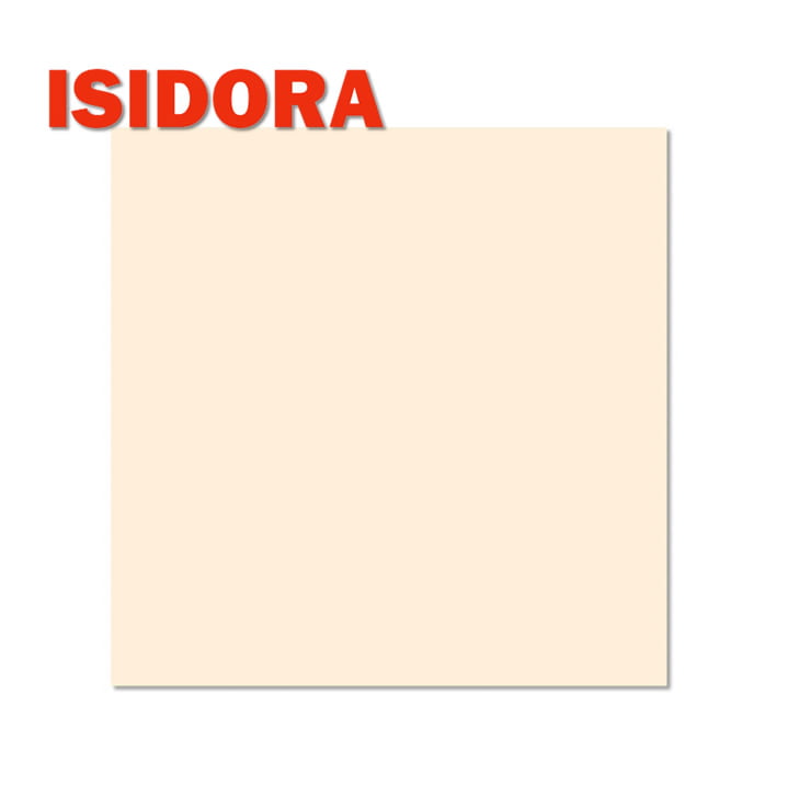 Ceramico y porcelanato ISIDORA